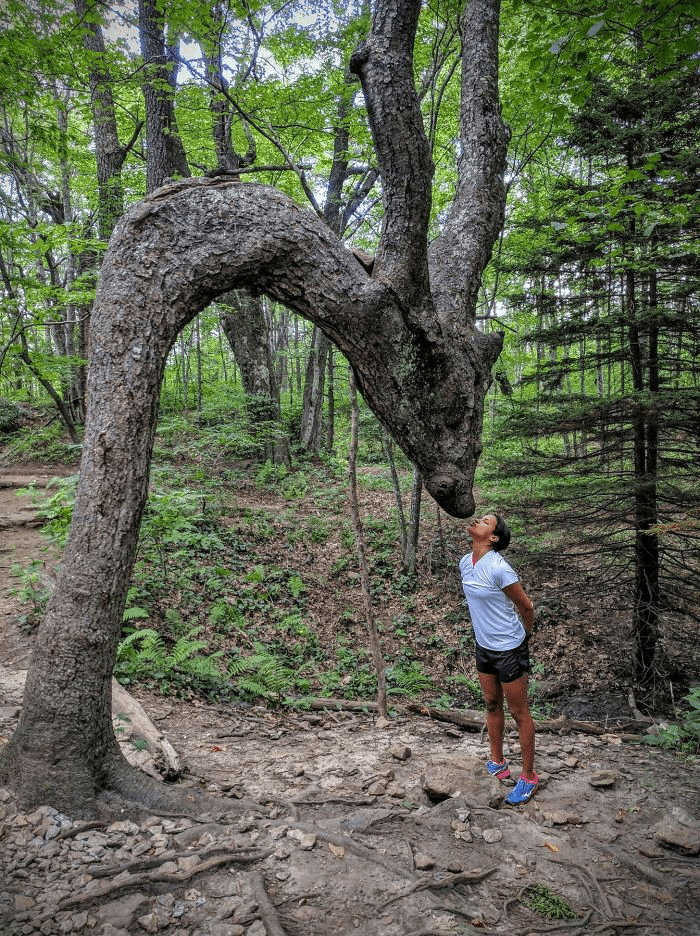 Unique Tree