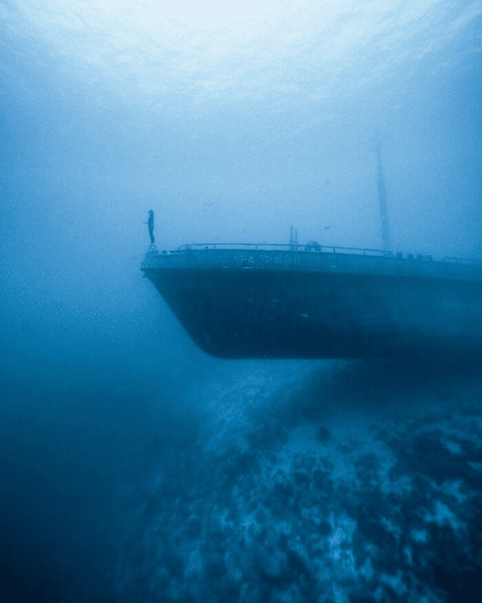 Photos That Inspire Fear and Encourage Staying Away from the Ocean.