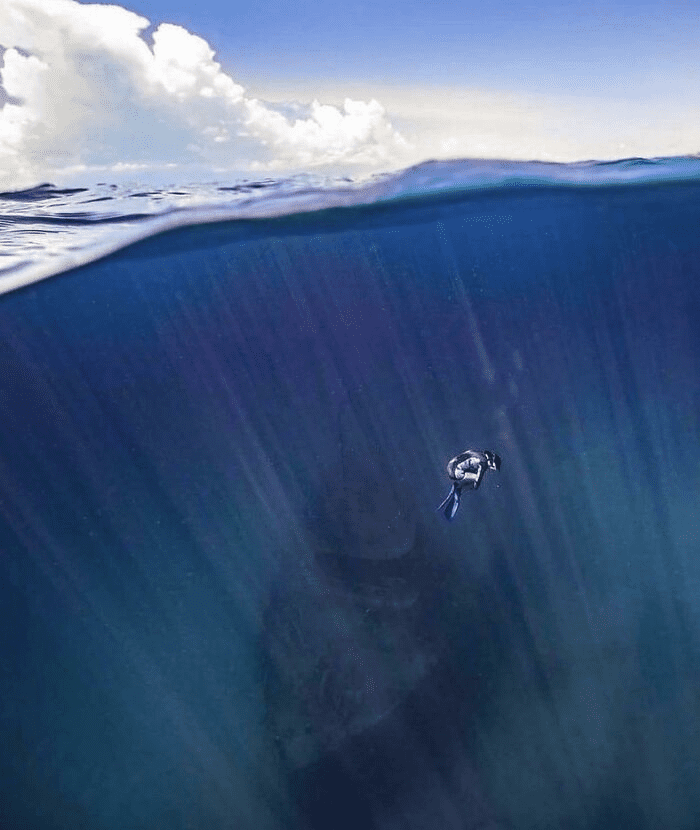 Photos That Inspire Fear and Encourage Staying Away from the Ocean.