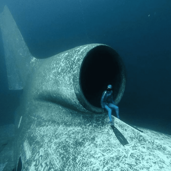 Photos That Inspire Fear and Encourage Staying Away from the Ocean.