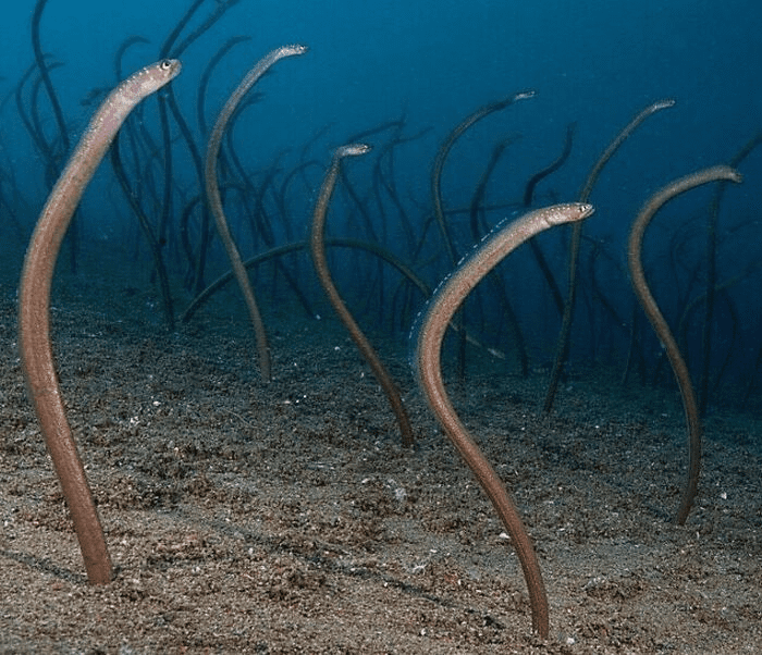 Photos That Inspire Fear and Encourage Staying Away from the Ocean.