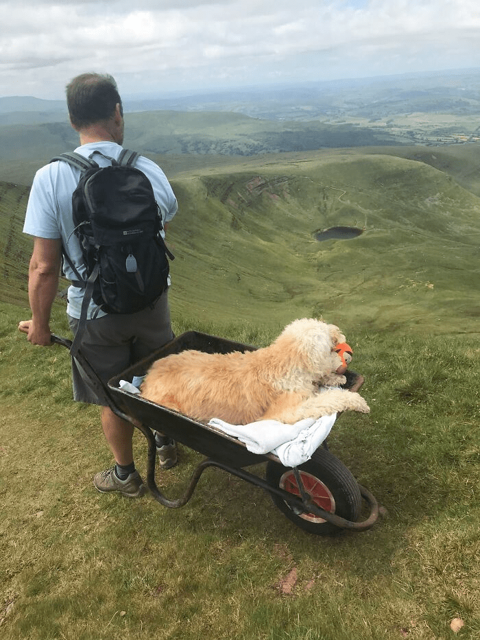 final adventure  with dog