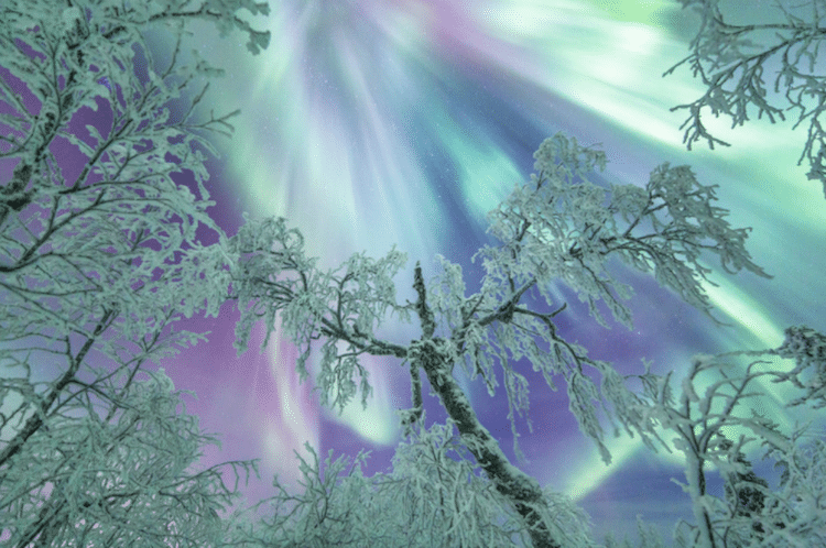 Stunning Northern Lights Photos