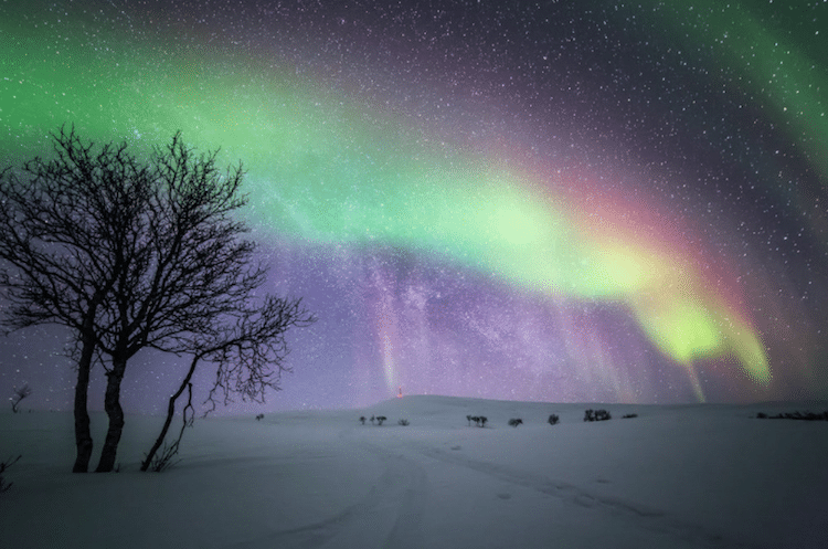 Stunning Northern Lights Photos