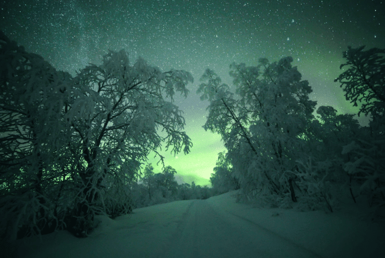 Stunning Northern Lights Photos