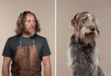 Captivating Dog and Owner Portrait Photography: The Striking Similarity Will Leave You in Awe. Dog and Owner Similarity