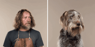 Dog and Owner Similarity