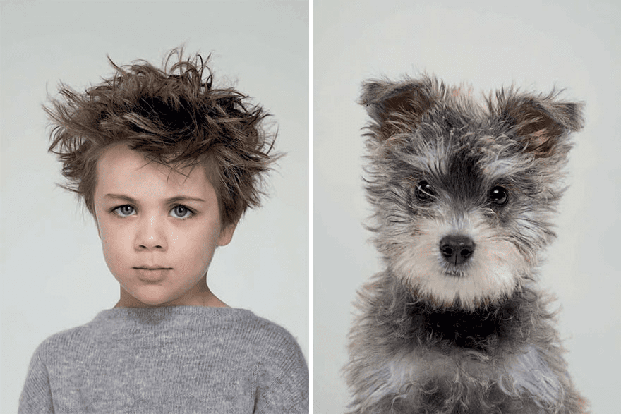 Dog and Owner Similarity