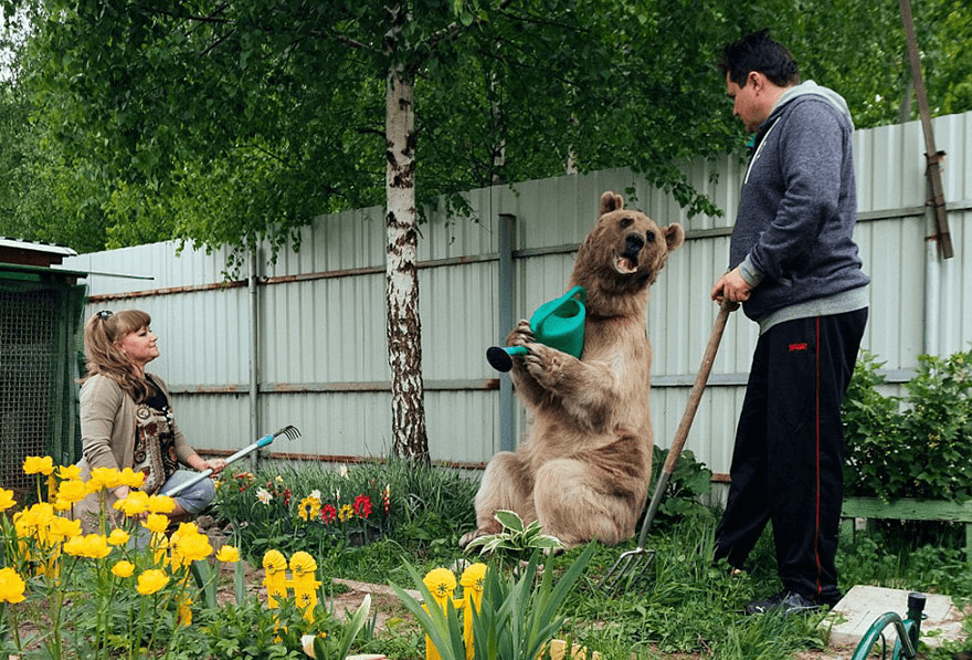 Russian Couple with Orphaned Bear 