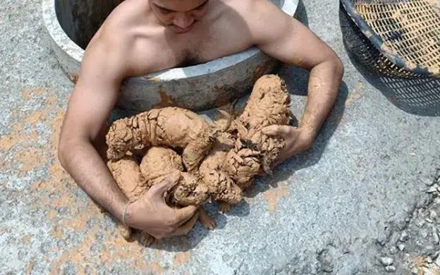 Puppies saved from mud