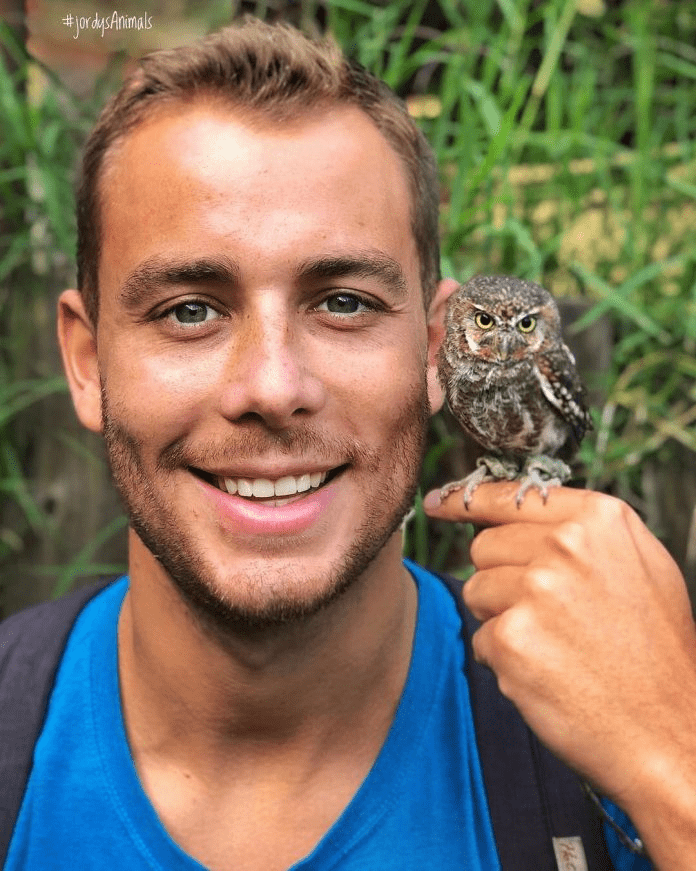 Elf Owl 