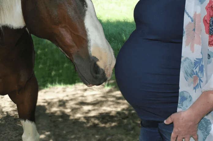 photo with horse