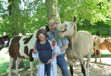Funny Horse Makes Surprise Appearance in Indiana Couple’s Maternity Photo Session. photo with horse