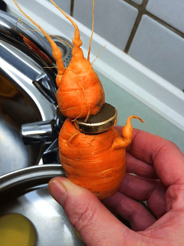 ring in carrot