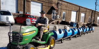 Dog Train