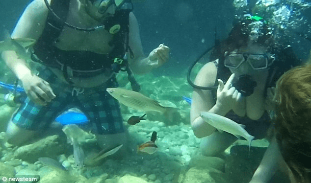 Underwater Proposal 