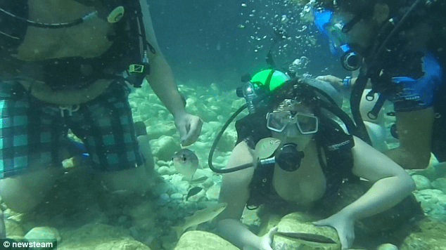 Underwater Proposal 