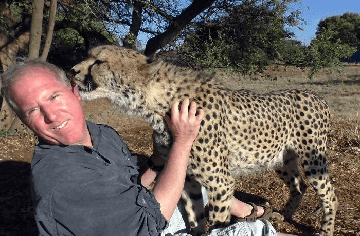 Cheetah